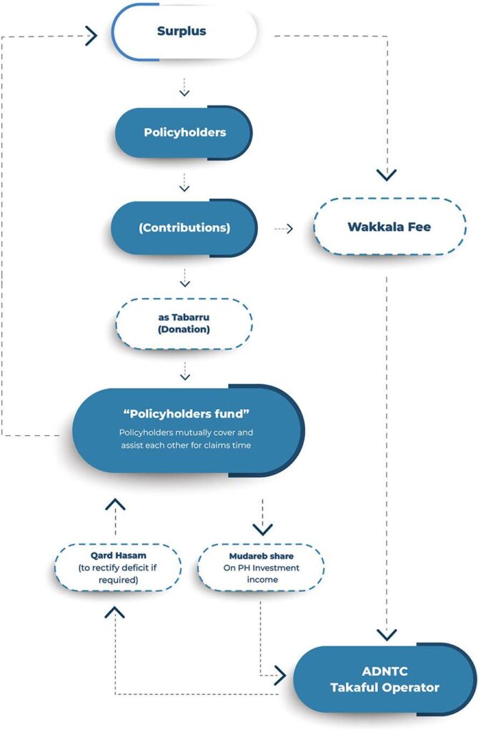 Participation Policy Infographic