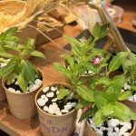Make Sustainable Care Products